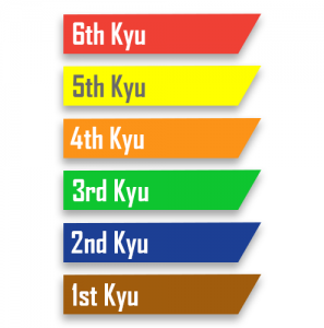 Image of the 6 Kyu Grades, 6th Kyu is Red Belt, 5th Kyu is Yellow Belt, 4th Kyu is Orange Belt, 3rd Kyu is Green Belt, 2nd Kyu is Blue Belt and 1st Kyu is Brown belt